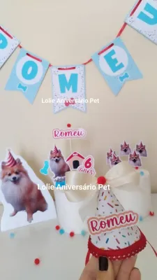 Kit Festa Aniversário Pet Aniversário Cachorro Confeitaria Colorida