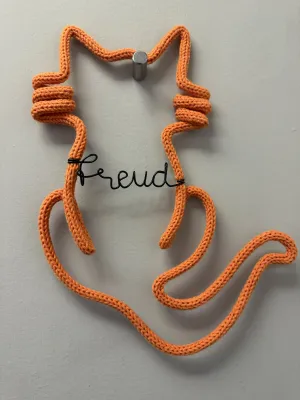 Imagem 5