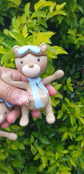Urso Aviador