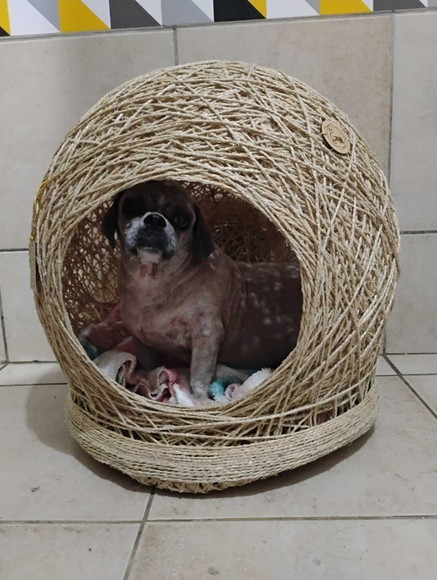Toca Ninho Gg em Sisal para Cães ou Gatos Grandes - Imagem 2