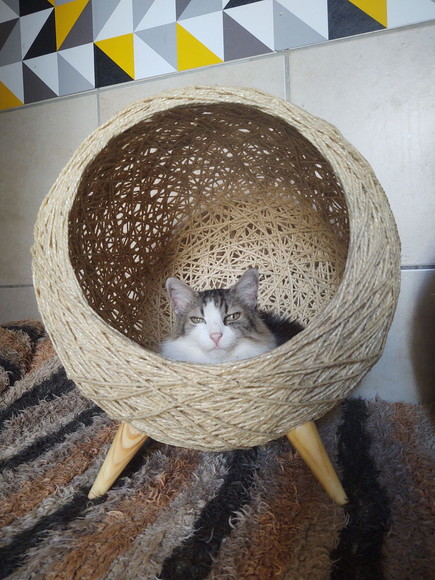Toca Retrô Pezinho G em Sisal para Gatos Grandes - Imagem 3