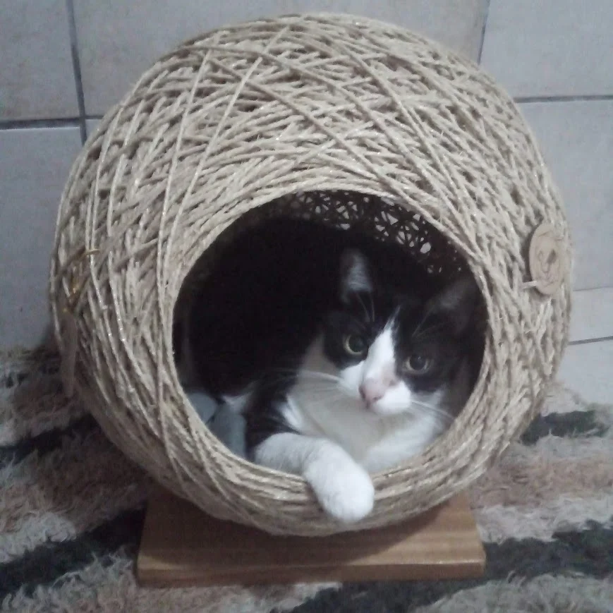 Toca Esfera em Sisal para Gatos até 8kg - Imagem 4