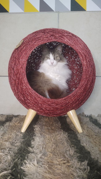 Imagem 3