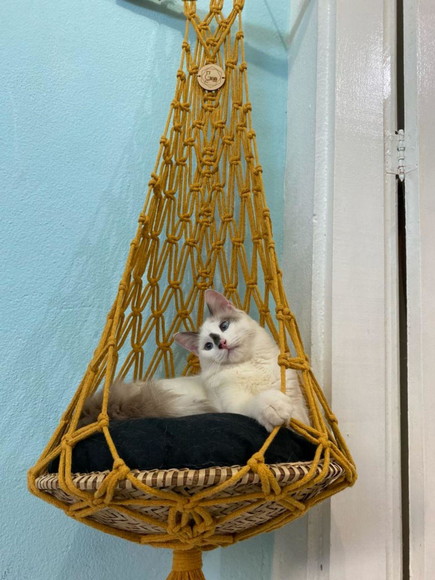 Macramês