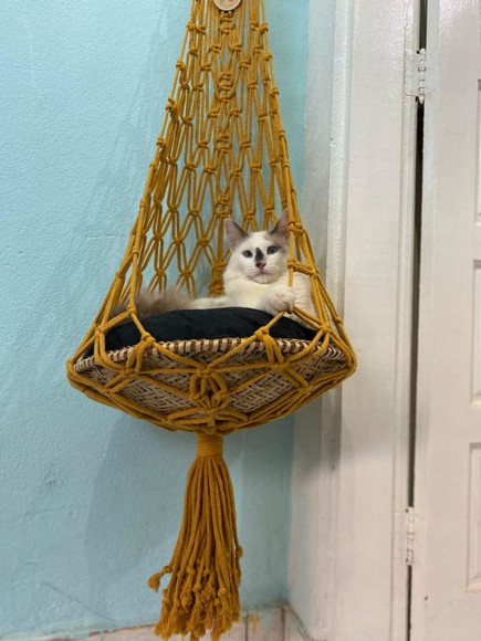 Hanger / Cama em Macramê - Imagem 2