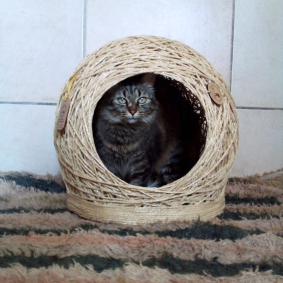 Toca Arranhador em Sisal para Gatos e Cães Peq Porte Tam m - Imagem 2