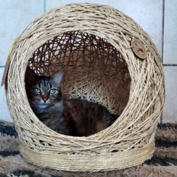 Toca Arranhador em Sisal para Gatos e Cães Peq Porte Tam m