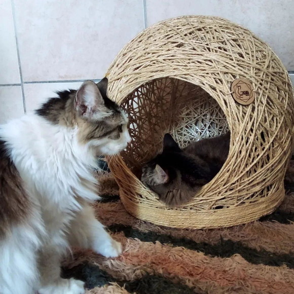 Toca Arranhador em Sisal para Gatos e Cães Peq Porte Tam m - Imagem 4