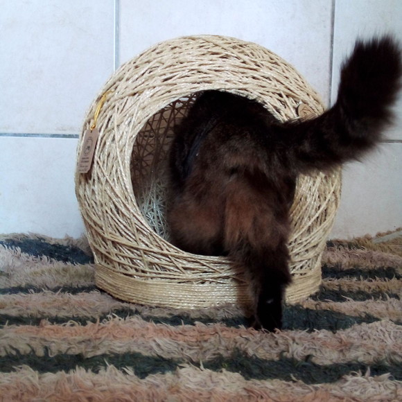 Toca Arranhador em Sisal para Gatos e Cães Peq Porte Tam m - Imagem 3