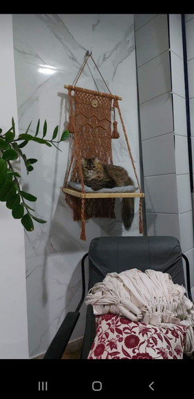 Camagato em Macramê - Imagem 2