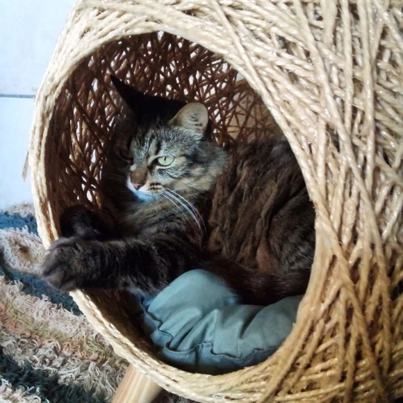 Toca Retrô Pezinho em Sisal para Gatos - Imagem 2