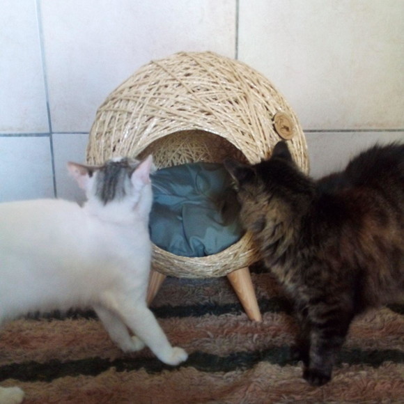 Toca Retrô Pezinho em Sisal para Gatos - Imagem 3