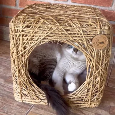 Toca Cubo em Sisal para Gatos de até 6kg