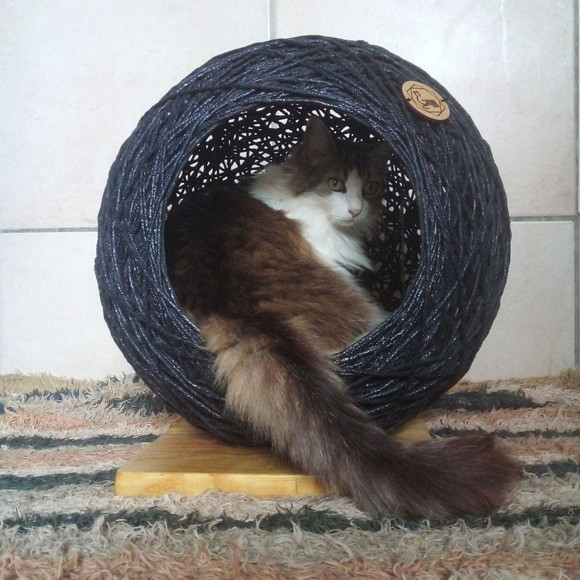 Toca Esfera para Gatos - Imagem 3