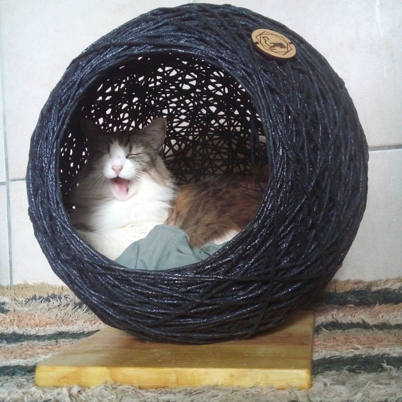 Toca Esfera para Gatos - Imagem 2