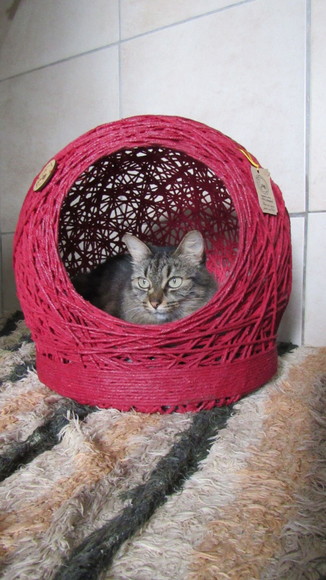 Cama Toca Tam m em Barbante para Gatos e Cães Pequeno Porte