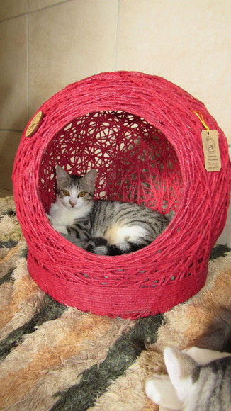 Cama Toca Tam m em Barbante para Gatos e Cães Pequeno Porte - Imagem 2