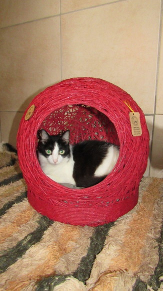 Cama Toca Tam m em Barbante para Gatos e Cães Pequeno Porte - Imagem 3