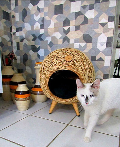 Toca Retrô em Sisal para Gatos - Imagem 2