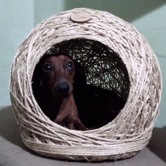 Toca em Sisal para Gatos e Cães Pequeno Porte - Imagem 2