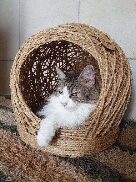 Toca Arranhador em Sisal para Gatos até 6kg