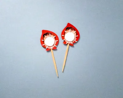 Topper Foto de Rostinho Carinha Chapeuzinho Vermelho