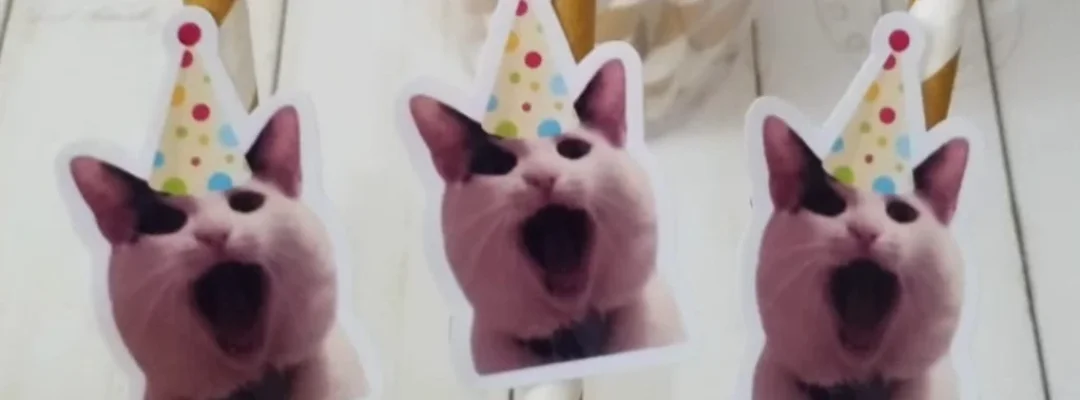 Banner de Lolie Aniversário Pet